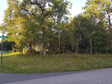 2 Plumbago Ct, Homosassa, FL 34446 - photo 2