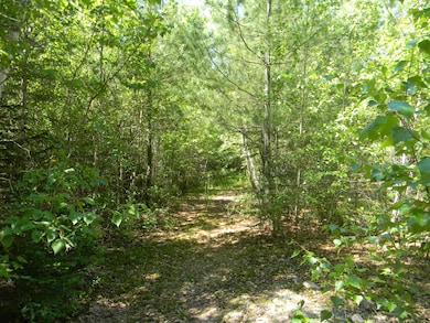 0 Stone Dr, Stark, NH 03582 - photo 5