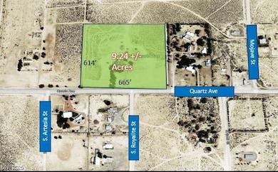 300 E Quartz Ave, Sandy Valley, NV 89109 - photo 4