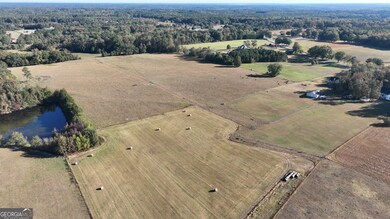 LOT 6 Mask Road - Hanner's Farm N, Brooks, GA 30205 - photo 5