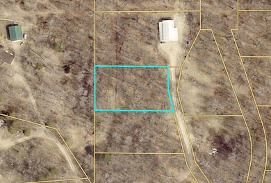 L5B1 Shady Ln, Crosslake, MN 56401 - photo 2