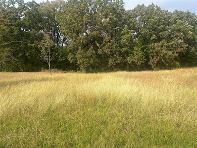 46 Kanakoa Dr, Tool, TX 75143 - photo 2