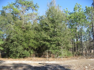 lot 10 IMG_2418