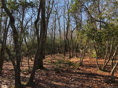 425 Walnut Valley Pkwy unit Lot 96, Arden, NC 28704 - photo 6