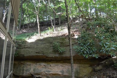 2 - Rear yard rock formation (Copy)