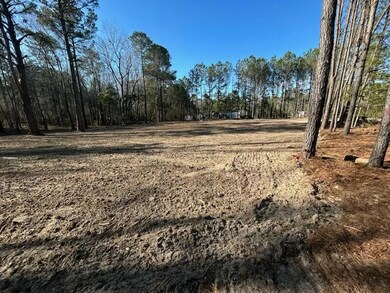 LOT 319 HICKORY NUT WAY 2