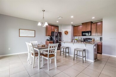 10287 Hawks Landing Dr, Land O' Lakes, FL 34638 - photo 3