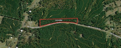 TBD Farm To Market 2024, Hemphill, TX 75968 - photo 2