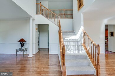 3125 Elsa Ave, Waldorf, MD 20603 - photo 5