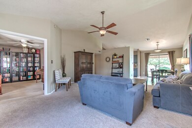 Cypress Ct-7