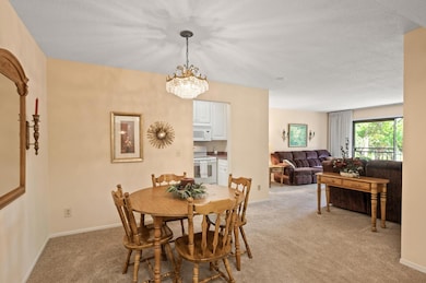 The Heatherton unit 213, Edina, MN 55435 - photo 4