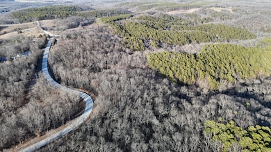 DJI_20250128160522_0047_D