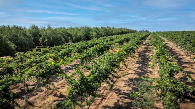 5648 N Montpelier Rd, Denair, CA 95316 - photo 2