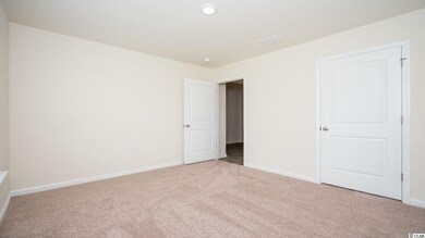 351 Spruce Pine Way unit Lot 253- Aria A, Conway, SC 29526 - photo 6