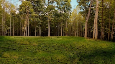 7960 Bill Moss Rd, White House, TN 37188 - photo 2