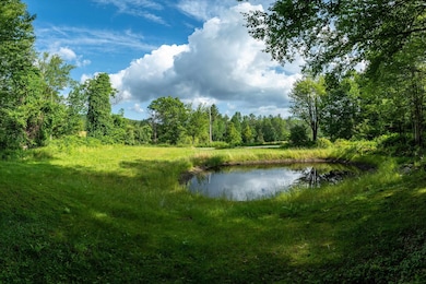 276 Dutton District Rd, Springfield, VT 05156 - photo 2