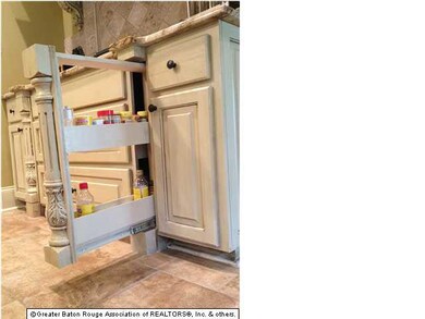 Hidden Spice racks