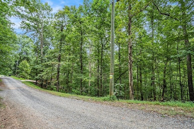 Lot 72 Huron Cir, Ellijay, GA 30540 - photo 3