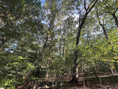 499 Acker Rd, Anderson, SC 29624 - photo 2