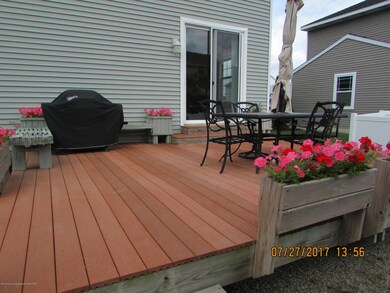 Back Deck (never needs paint)
