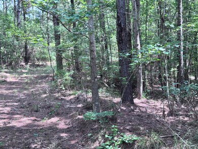 00 Abby Ln, Lumberton, MS 39455 - photo 7