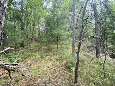 0 Stitt Ln unit 201835231, Mio, MI 48647 - photo 3