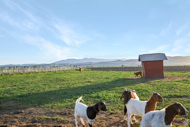 545 N 1600 W, Lewiston, UT 84320 - photo 6