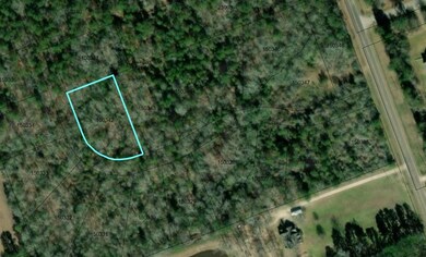 160 Canyon View, Lufkin, TX 75904 - photo 4