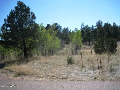 Meadow Rd 5