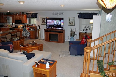 3905 Missouri 21, Doniphan, MO 63935 - photo 4