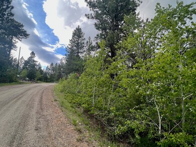 Enjoy the Quiet Country Road