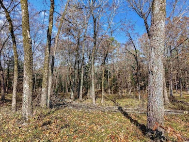 458 Union Hill Rd, Mount Ida, AR 71970 - photo 4