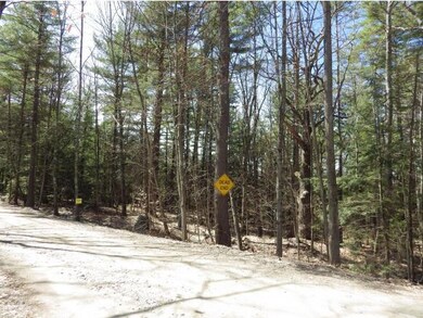 0 Rte 63 & Crowningshield Rd, Chesterfield, NH 03462 - photo 4