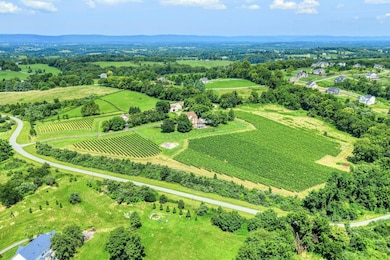 40954 Canter Ln, Paeonian Springs, VA 20129 - photo 2