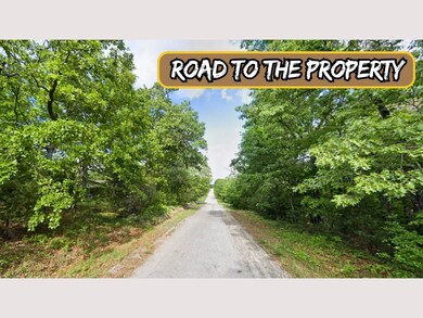 679G+436 Horseshoe Bend unit Arkansas AR USA, Horseshoe Bend, AR 72512 - photo 6