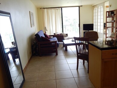 View from Entry looking towards lanai