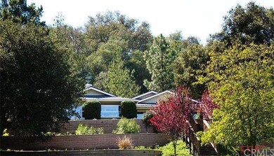 Looking up at house from orchard. There is room an