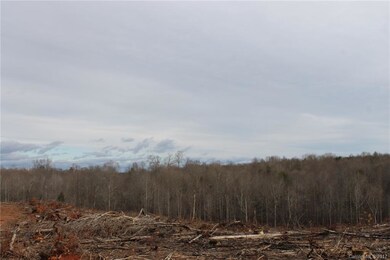 108.61 ac Tomlin Mill Rd, Statesville, NC 28625 - photo 7