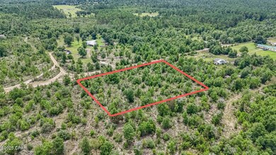 0 Warnock Rd unit 777510, Fountain, FL 32438 - photo 6