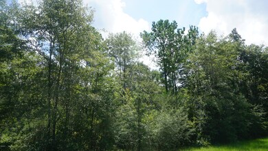 Lot #9 Mill Creek Rd, Lucedale, MS 39452 - photo 4