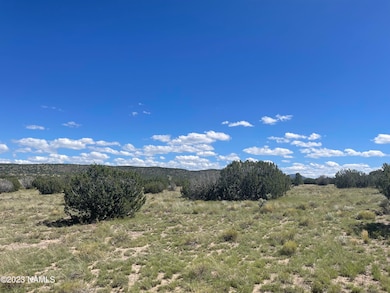 2272 W Critter Pass Photo 12