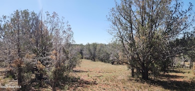 408 N2 Caprica Rd, Ash Fork, AZ 86320 - photo 6