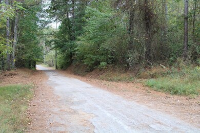 0 Reo Rd unit 124704, Rocky Face, GA 30740 - photo 4