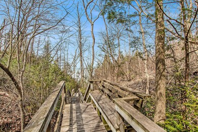 Path to the beach