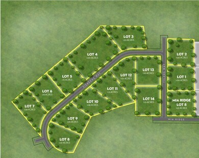 Lot 8 Mia