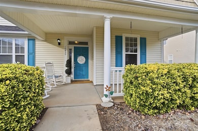 10432 Watoga Way, Cornelius, NC 28031 - photo 4