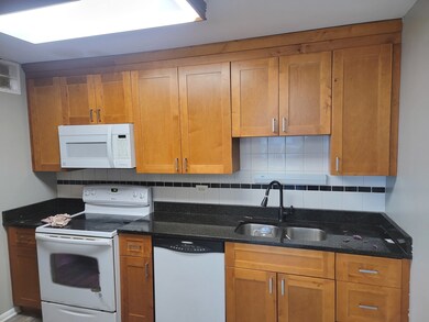 5455 N Sheridan Rd unit 3610, Chicago, IL 60640 - photo 5