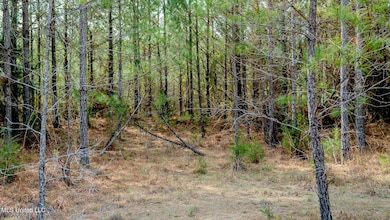 0000 Elijah Graham Rd, Noxapater, MS 39346 - photo 7