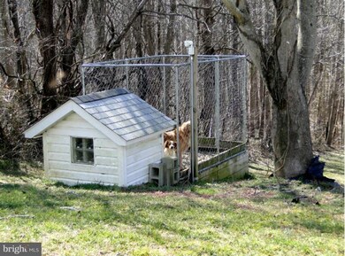 6670 Wilson Rd, Friendship, MD 20758 - photo 3