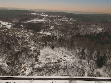 Jennison Rd, Edmeston, NY 13335 - photo 6